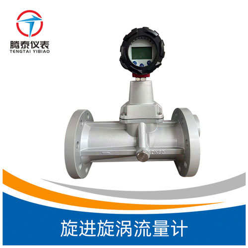 <b>旋進旋渦流量計</b>